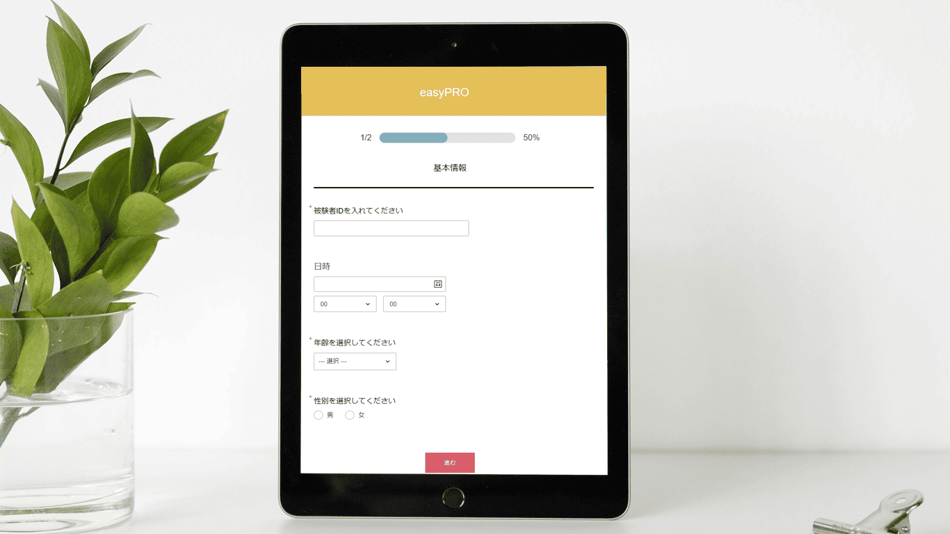 簡易版ePRO（easyPRO）のイメージ